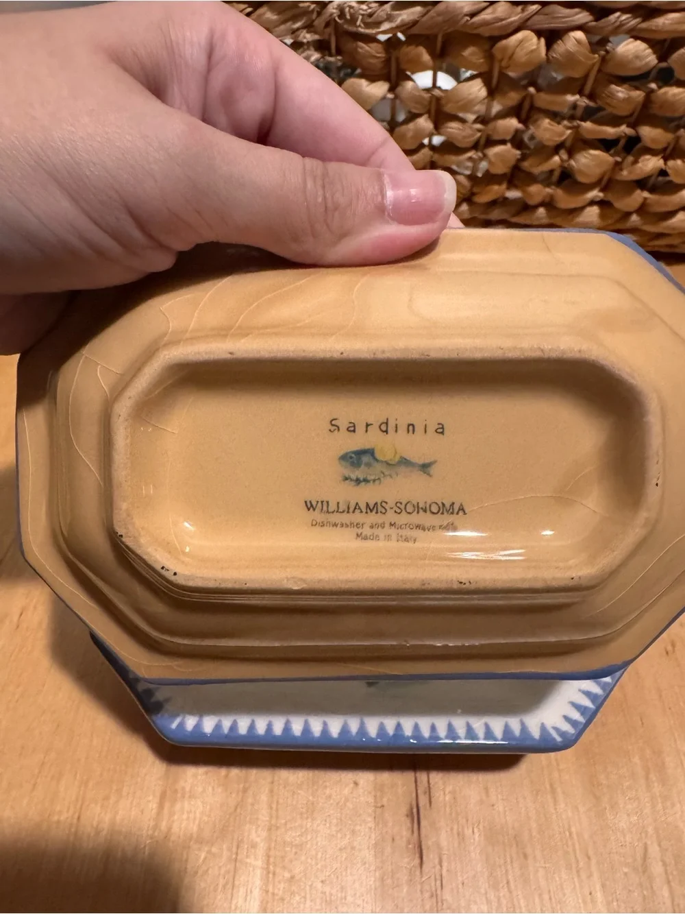 Williams Sonoma “Sardinia” Ceramic Dishes with Blue Trim (Set of 2)